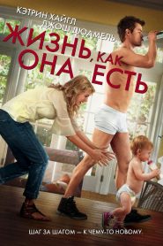 Жизнь, как она есть (2010)