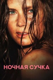 Ночная Сучка (2024)